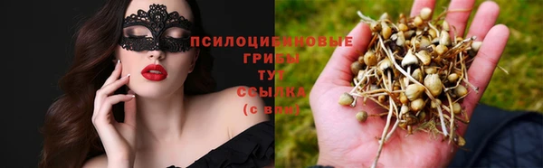прущие крисы Баксан