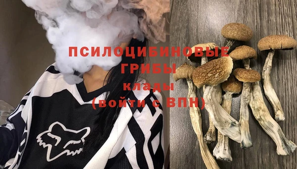 спиды Алагир