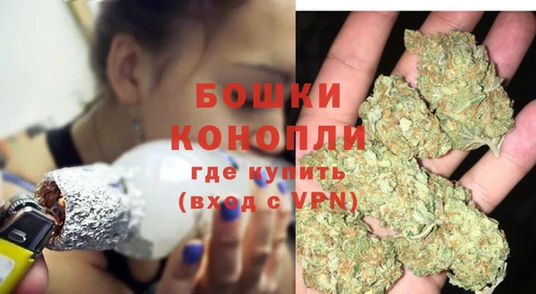 ПСИЛОЦИБИНОВЫЕ ГРИБЫ Аркадак