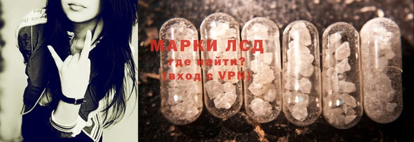 ПСИЛОЦИБИНОВЫЕ ГРИБЫ Аркадак