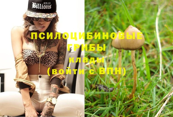 прущие крисы Баксан