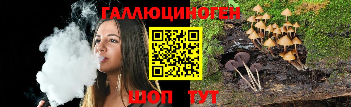 Галлюциногенные грибы Cubensis  Бахчисарай 
